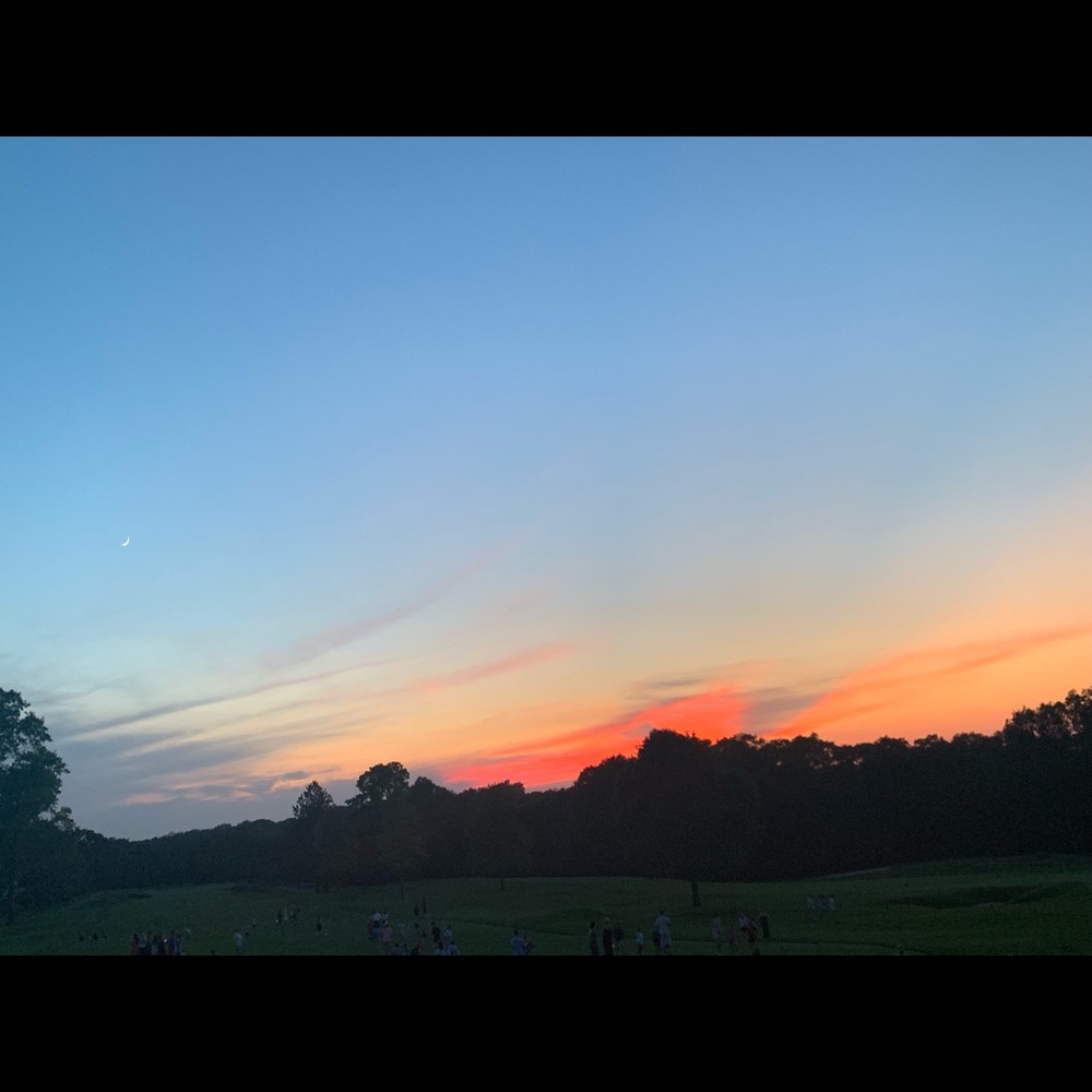 Meet your Posher, Courtney